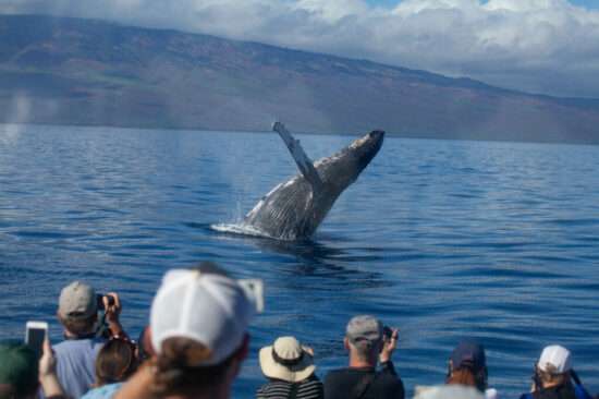 Taken by professional photographer on Photo Safari Cruisess