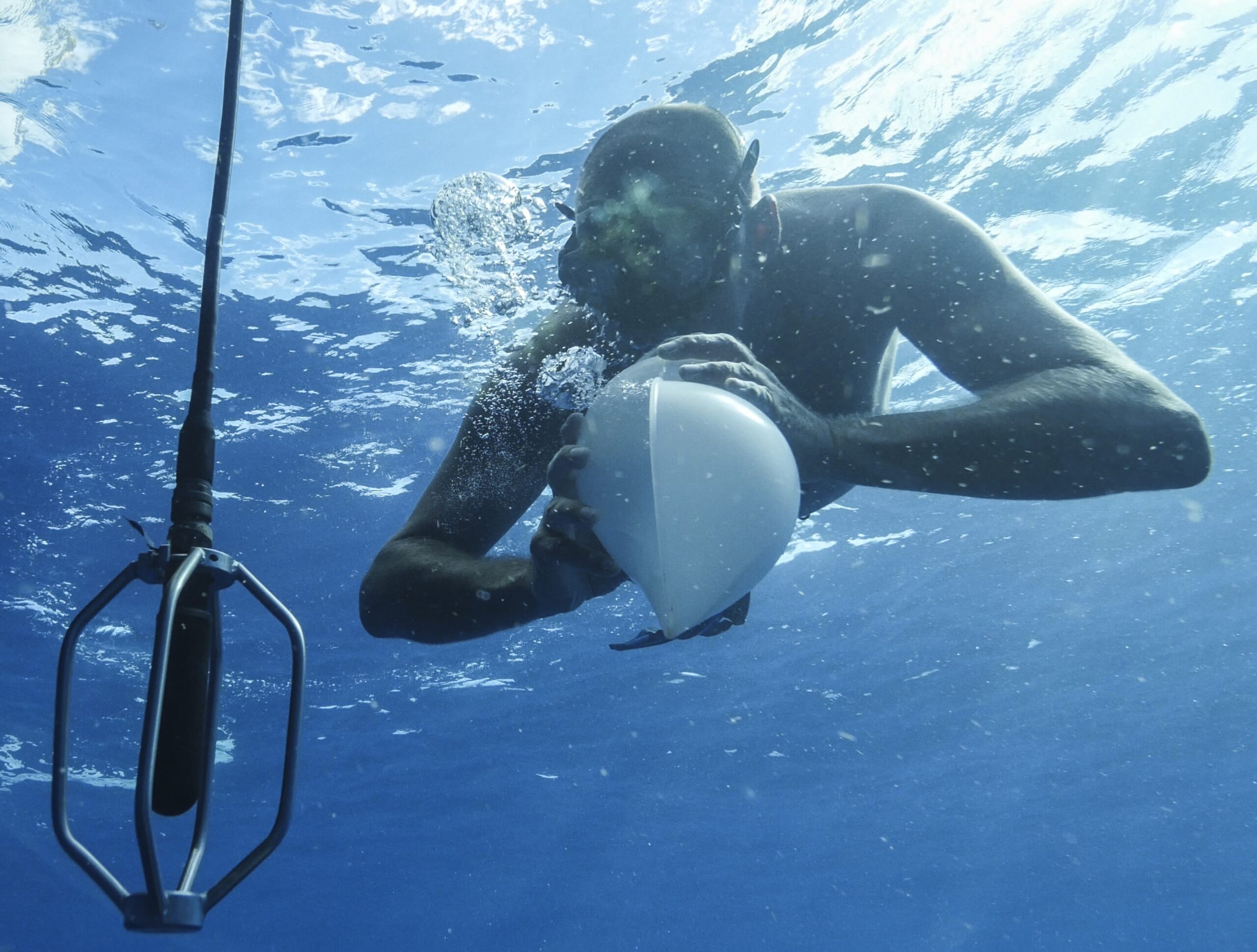 Enregistrement avec son baleine